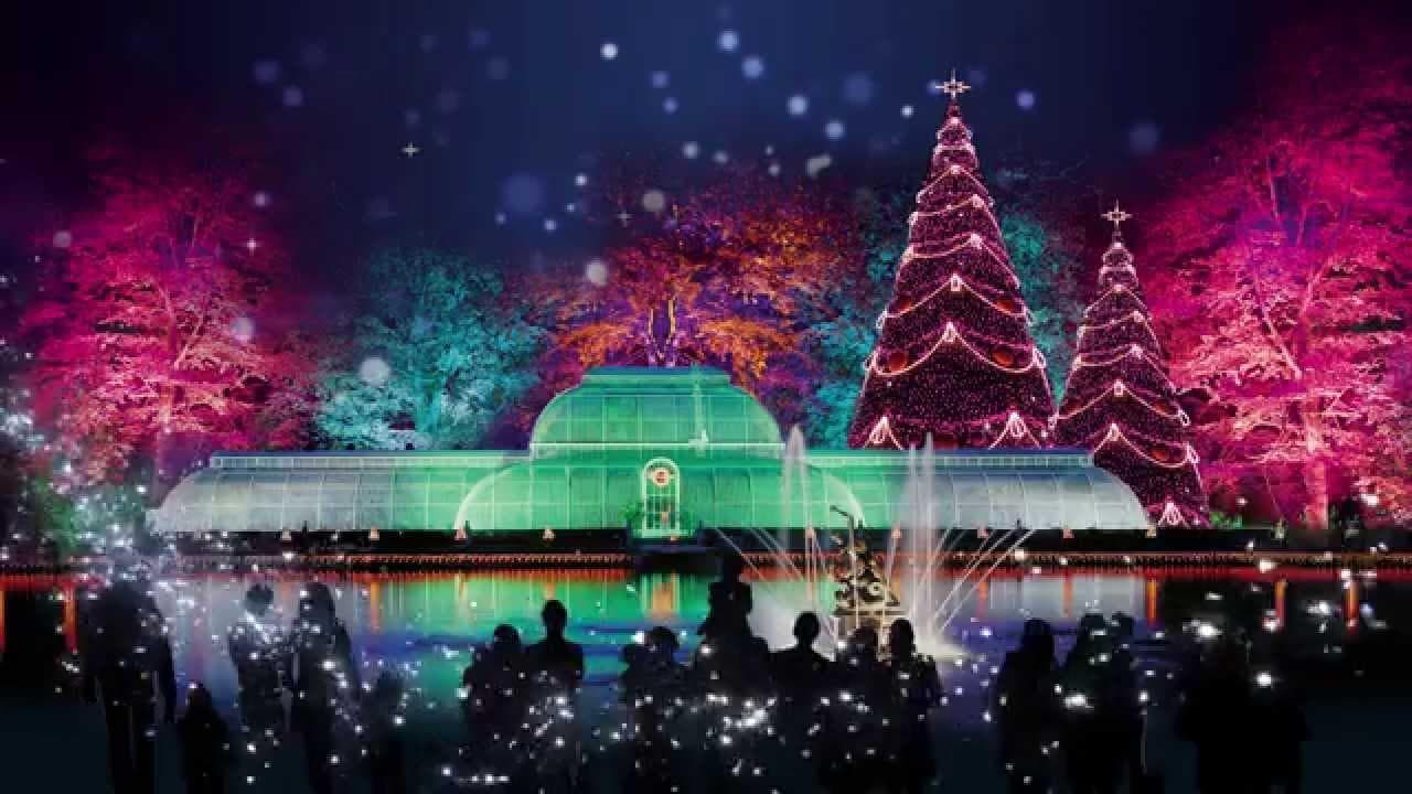 Kew Gardens Winter Wonderland | Total Sound Solutions